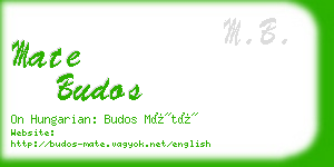 mate budos business card